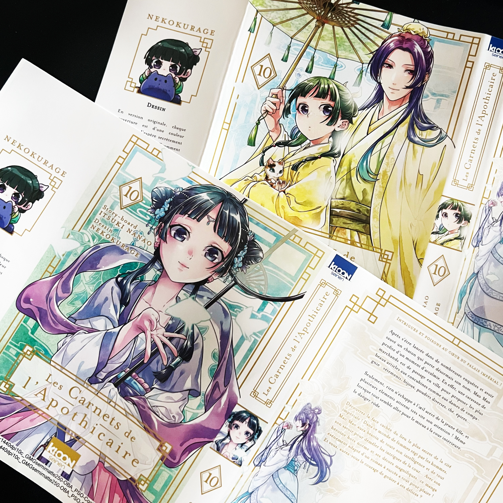 [Manga] Les Carnets de l&rsquo;apothicaire t.10